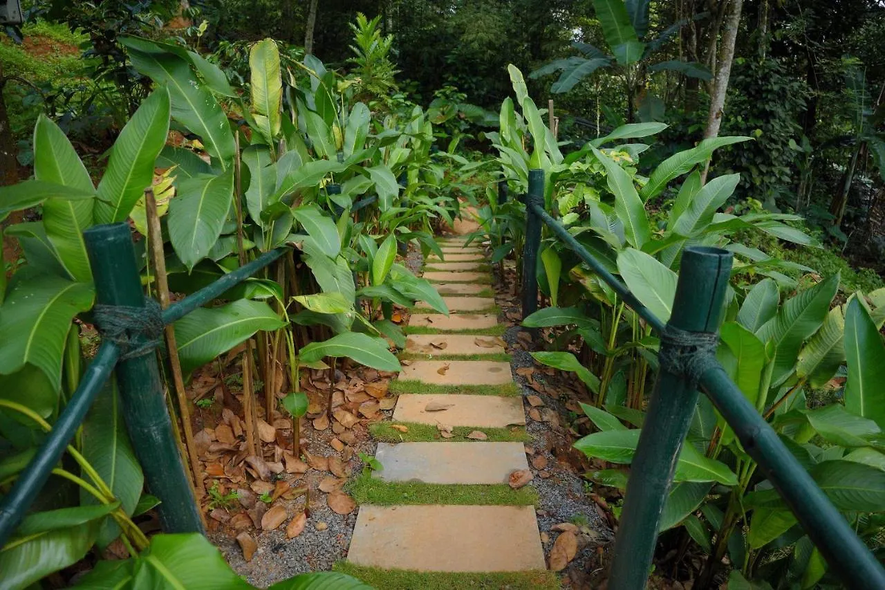 Ananterra Resort Wayanad